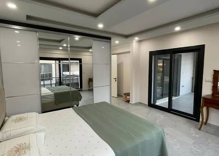 Master Vi * 达拉曼