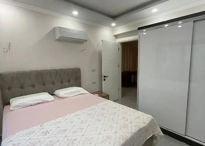 Master Vi * 达拉曼