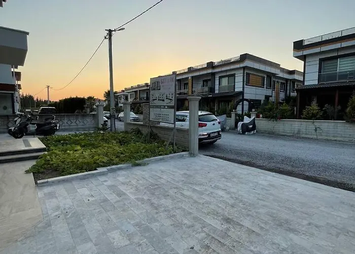 Master Vi * 达拉曼